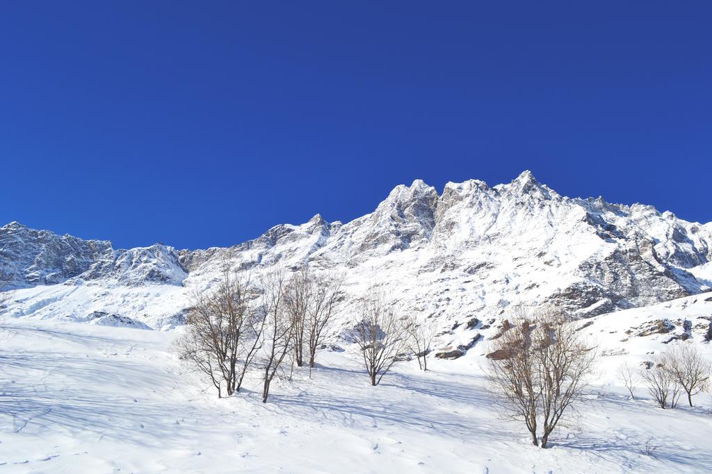 Maison Carrel Elegant 2 Appartement Breuil-Cervinia Buitenkant foto